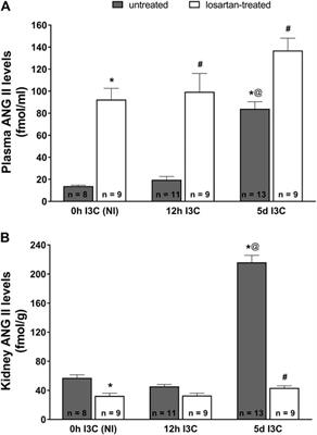 Increased Endogenous Activity of the Renin-Angiotensin System Reduces Infarct Size in the Rats with Early Angiotensin II-dependent Hypertension which Survive the Acute Ischemia/Reperfusion Injury